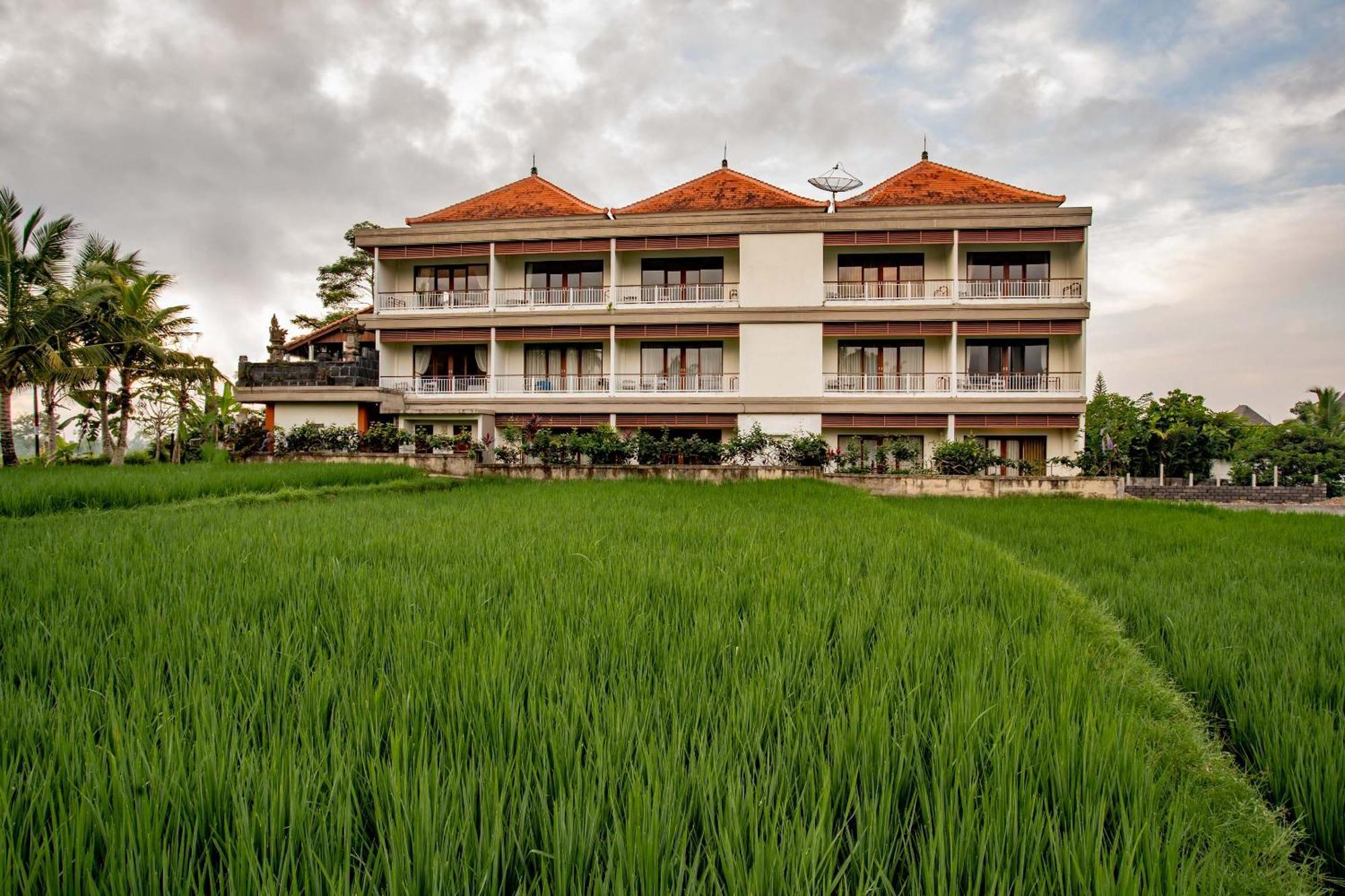 Paon Desa Ubud Exterior photo
